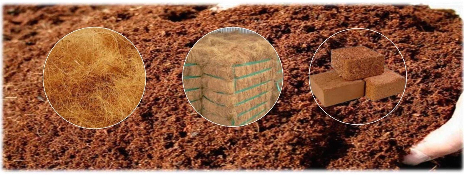 Coir